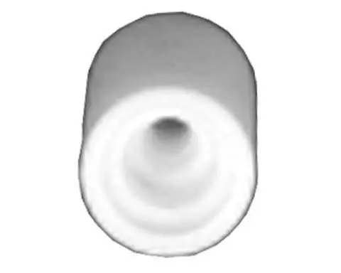 Injector Insert PTFE 160-55