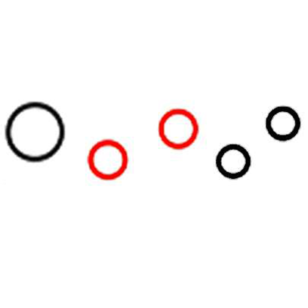 O-ring Kit - 310-38