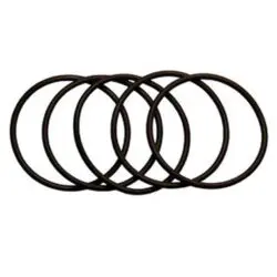 Viton O-Ring for Sampler Cone - 5/pk - PE5011