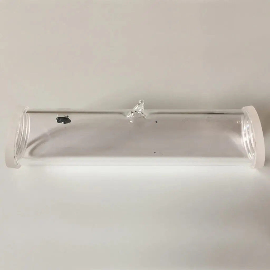 Iodine Vapor Cell Quartz - TG-ABI-Q