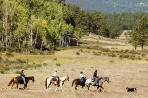 Trail Ride